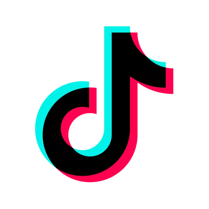 Icon 8